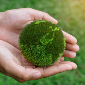 AMBIENTE Y NEGOCIOS SOSTENIBLES